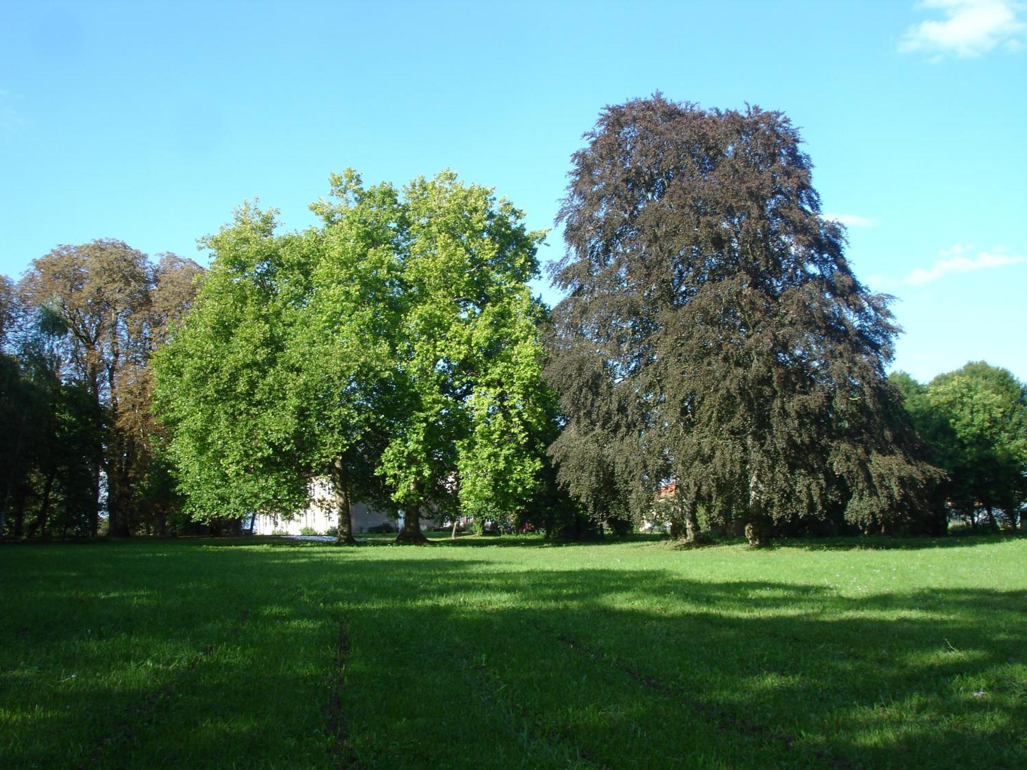 Maison D'Hotes Le Chateau De Puxe Eksteriør billede